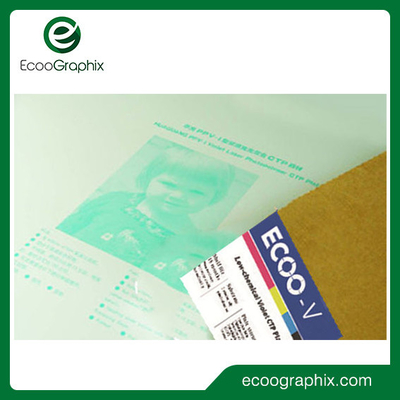 Digital Photopolymer Negative Violet CTP Plate สำหรับการพิมพ์หนังสือพิมพ์